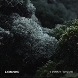 Lifeforms